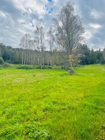 Achat terrain Saulcy-sur-Meurthe - 8882 m² - 157 000 €