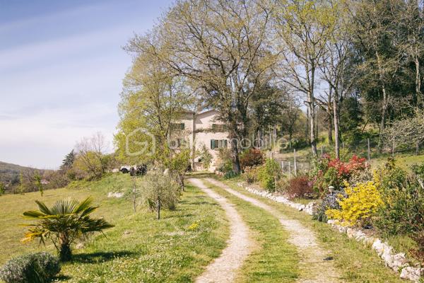 Maison de caractère avec vue panoramique sur la vallée de la Dordogne – 252 m² habitables sur 1,78 hectare

À seulement 22 km à l'est de Bergerac, cette belle demeure de caractère bénéficie d'un emplacement privilégié, au calme, en position dominante et exposée plein sud. Elle offre une vue exceptionnelle sur la campagne environnante et la vallée de la Dordogne.

D'une surface habitable d'environ 252 m², la maison séduit par ses volumes généreux, sa luminosité et son fort potentiel pour un projet familial ou touristique.

Dès l'entrée, un vaste hall dessert les différents espaces de vie. Vous découvrirez un superbe séjour de 75 m² agrémenté d'un poêle à bois, idéal pour recevoir famille et amis dans une ambiance chaleureuse.

La cuisine équipée de 12 m² est prolongée par une salle à manger de 15 m² ouvrant sur deux terrasses : une grande terrasse couverte orientée plein sud et une seconde terrasse à l'ouest, parfaite pour profiter des couchers de soleil.

Le rez-de-chaussée comprend également un cellier avec douche, rangements et toilettes.

À l'étage, un élégant escalier avec rampe en fer forgé mène à un vaste palier desservant cinq chambres spacieuses de 14 à 22 m², chacune disposant de sa propre salle d'eau et de toilettes privatives. Une cinquième chambre d'environ 40 m² bénéficie en outre d'un dressing et de sa salle d'eau.

Cette configuration est idéale pour une activité de chambres d'hôtes ou pour accueillir une grande famille dans un confort optimal.

Le sous-sol complet de 97 m² comprend un garage, une cave, un atelier, un cellier, une chaufferie ainsi que des toilettes. Directement accessible depuis la maison, il offre de nombreuses possibilités de rangement et d'aménagement.

Prestations
Chauffage central au fioul avec chaudière récente
Poêle à bois
Ballon d'eau chaude indépendant pour la période estivale
Électricité rénovée
Isolation des combles et du plafond du sous-sol réalisée en 2021

Les menuiseries sont en bois avec simple vitrage et volets battants bois.

Extérieurs

La propriété s'étend sur un magnifique terrain clos de 17 800 m² offrant espace, intimité et sérénité. Un cadre naturel privilégié où profiter pleinement de la campagne tout en restant proche des commerces et services.

Les atouts
Vue dominante exceptionnelle
Exposition plein sud
5 chambres avec salle d'eau privative
Séjour de 75 m²
Sous-sol complet de 97 m²
Terrain clos de 1,78 hectare
Potentiel chambres d'hôtes ou activité touristique
Environnement calme et recherché

Une propriété rare offrant de nombreuses possibilités dans un cadre de vie remarquable.
Contactez-moi et venez la visiter. 06 98 99 98 40.
Large bright house of 252m 2, ideally located, close to amenities, quiet, in a dominant position and facing south, offering breathtaking views of the surrounding countryside, with the Dordogne. 
Upon entering the house, you will be greeted by a spacious entrance hall, dividing the different living spaces.
On your right a large living room of 75m2 with a wood stove, creating a warm and friendly atmosphere. 
On your left, a kitchen of 12 m2 accompanied by a dining room of 15m2 and giving access to two terraces: one covered south and a smaller west. A storeroom with shower, closets and toilets complete this ground floor.
Facing you, a beautiful staircase equipped with a wrought iron ramp leads to a landing serving five large bedrooms of 14 to 22 m 2, each with its own bathroom and private toilets. 
The fifth bedroom, with an area of 40m 2, is equipped with an additional dressing room. This sleeping area is perfect for a bed and breakfast activity.
In the basement, you will find a complete space of 97 m2 including a garage, a storeroom, a workshop, a cellar, a boiler room and toilets. This space is also accessible directly from the house, offering great convenience in everyday life.
The house is equipped with a central heating system on fuel, with a recent boiler. An independent hot water tank is also available for summer needs. A wood stove in the fireplace adds an extra touch of charm.
Electricity was redone and insulation of the attic and ceiling of the basement were completed in 2021.
The joinery is made of wood with a simple glazing, accompanied by wooden shutters. 
Individual sanitation works perfectly but does not meet current standards.
The enclosed land of 17800m2 offers a generous and private outdoor space, where you can enjoy moments of relaxation in the middle of nature while being close to amenities.
This large house offers an exceptional potential to create a unique living place, a guest house activity...
Contact me and come visit it. 06 98 99 98 40.