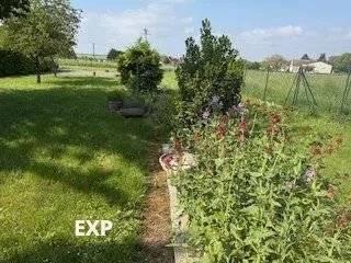 Longère de charme à SUBLAINE (37) cherche nouveaux habitants !