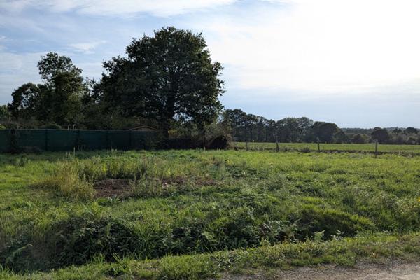 Terrain à vendre - 670 m² SAINT GUYOMARD (56460)