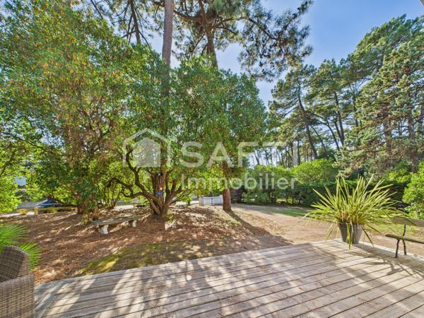 À vendre – Chalet Rousseaux à Lège-Cap-Ferret, parcelle exceptionnelle de 1015 m² à deux pas de la plage