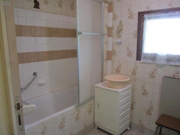 Maison individuelle à vendre à Saint-Christophe-en-Bazelle dans l'Indre (36210), ref : 19