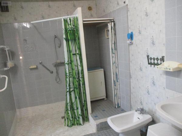 Maison individuelle à vendre à Saint-Christophe-en-Bazelle dans l'Indre (36210), ref : 19