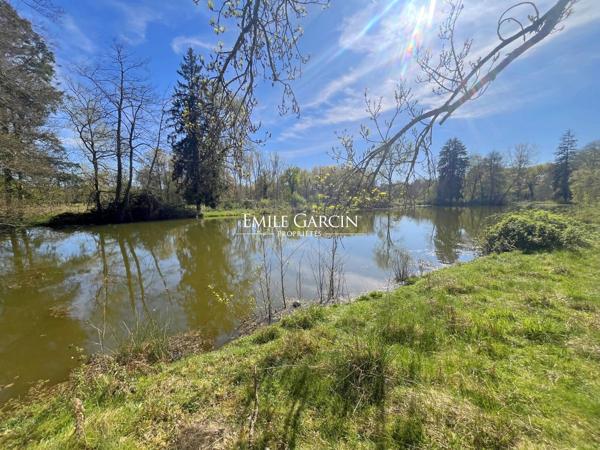 Propriété à vendre en Sologne - Domaine de chasse de plus de 90 hectares
