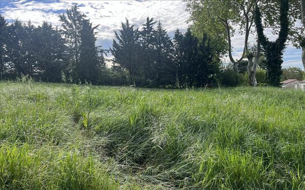 Terrain à vendre |  Villespy |  2686 m²