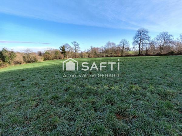 Magnifique terrain agricole de 3,7 hectares