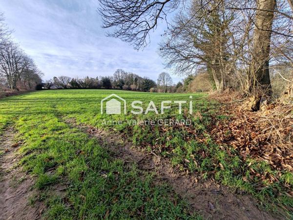 Magnifique terrain agricole de 3,7 hectares