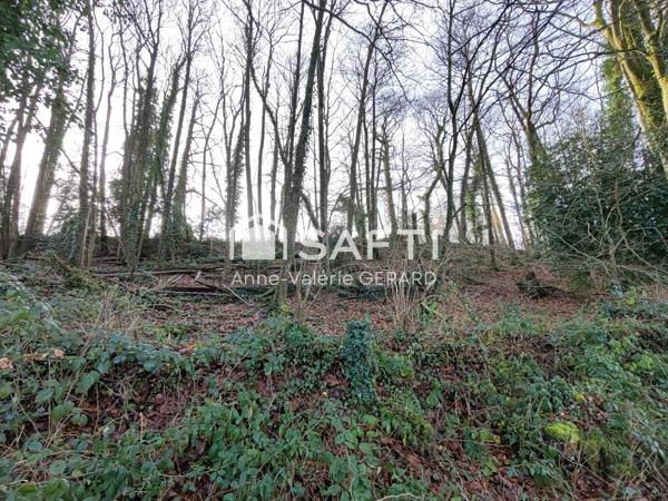 Magnifique terrain agricole de 3,7 hectares