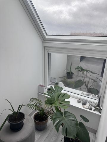 Mézières-en-Santerre (80110) Pavillon de 2020 - 129 m² avec jardin arboré et cloturé, garage et places de stationnement située entre Amiens