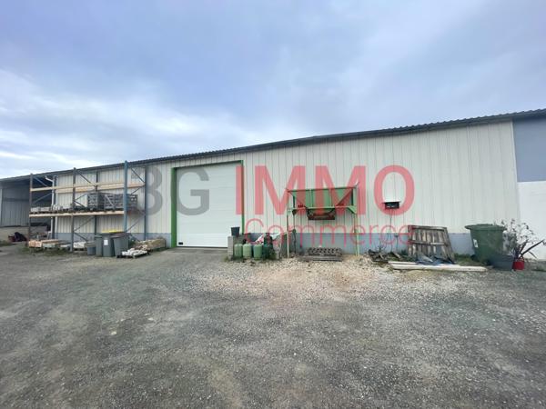 Vente murs / Local Industriel / Bâtiment