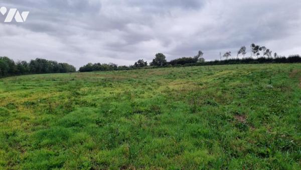 SAINT-SAUVEUR-VILLAGES