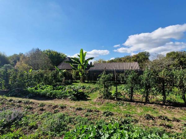 Maison ancienne - Le bugue Atypique ancien hangar à tabac rénové dans bel environnement