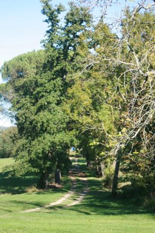 MARCIAC (32): Beau CHATEAU dominant sur 8ha ideal accueil public, EVENEMENTIEL, résidence séniors, communauté, habitat partagé