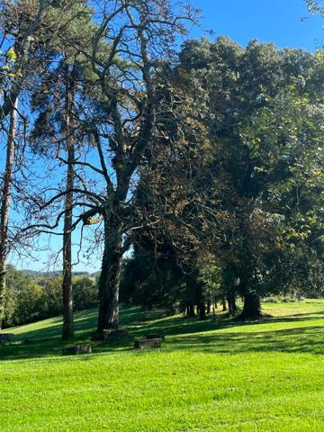 MARCIAC (32): Beau CHATEAU dominant sur 8ha ideal accueil public, EVENEMENTIEL, résidence séniors, communauté, habitat partagé