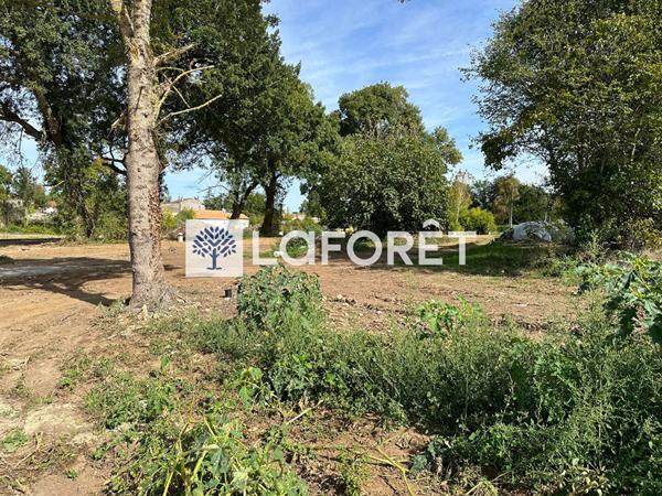 Achat terrain près de GEMOZAC - 533 m² - 47 900 €