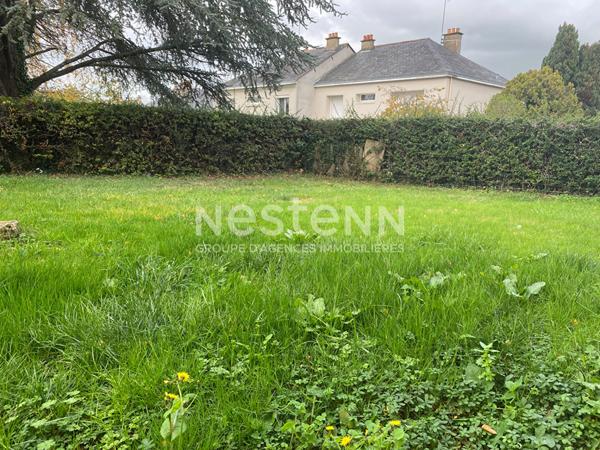 Spécial investisseur