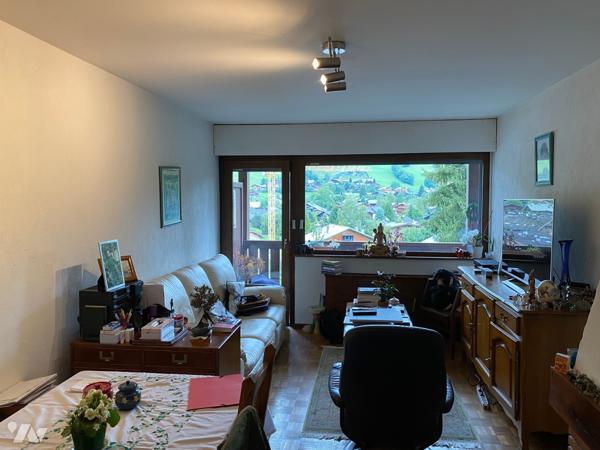 appartement de 3 pièces 2 balcons 2 chambres salle de bains cuisine salon/salle à manger cheminée