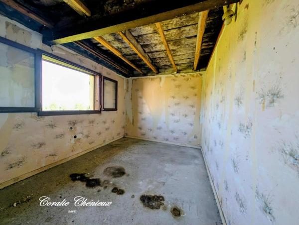 Ensemble de deux maisons dans un cadre verdoyant