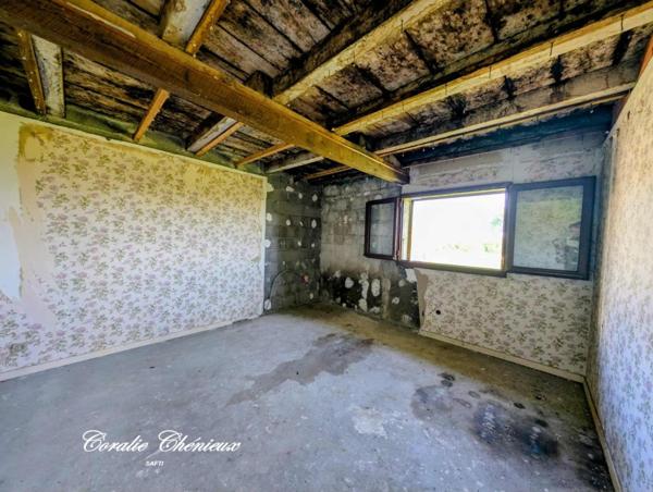 Ensemble de deux maisons dans un cadre verdoyant