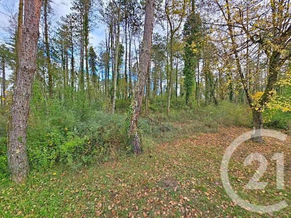 Terrain à vendre  45093 m2 MONTJOIE EN COUSERANS - 09