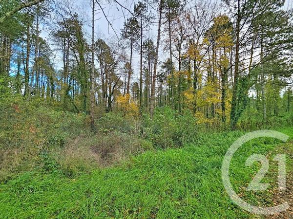 Terrain à vendre  45093 m2 MONTJOIE EN COUSERANS - 09