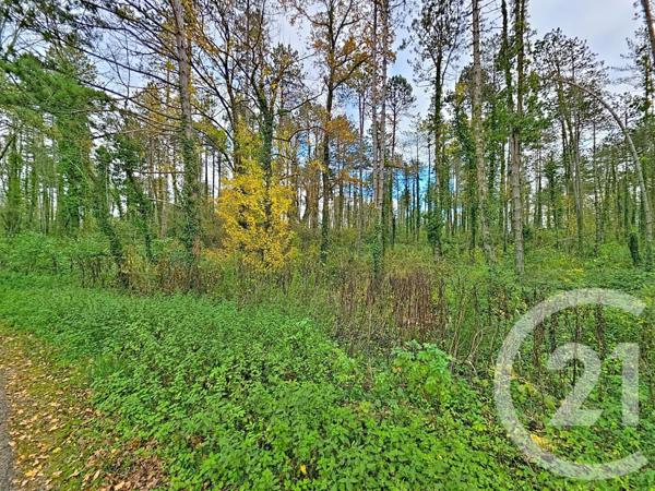 Terrain à vendre  45093 m2 MONTJOIE EN COUSERANS - 09