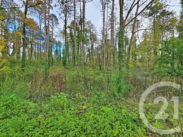 Terrain à vendre  45093 m2 MONTJOIE EN COUSERANS - 09