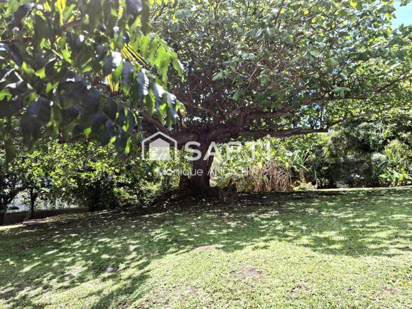 180 m² + terrain 1736 m² – fort potentiel