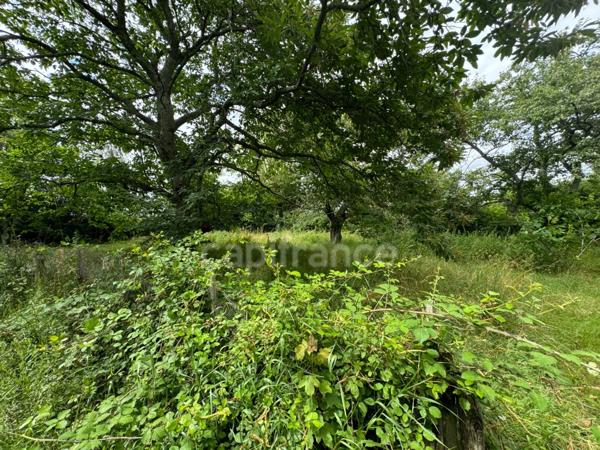 A rénover, maison ancienne à 3 minutes de Tournus