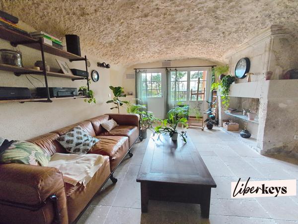 Bien rare : maison troglodyte lumineuse avec terrasse et vue forêt à 20 min de Tours