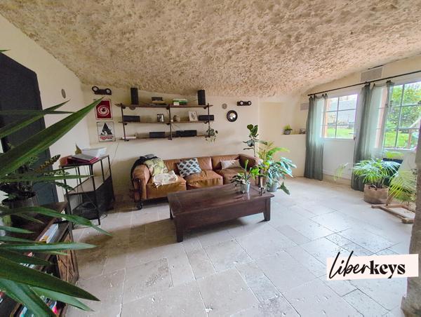 Bien rare : maison troglodyte lumineuse avec terrasse et vue forêt à 20 min de Tours