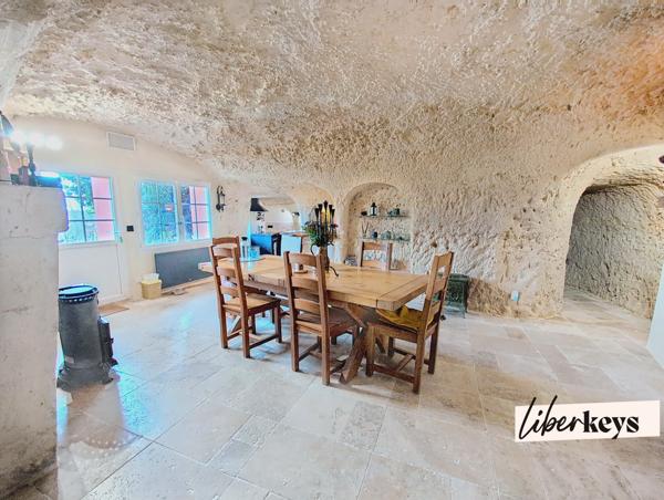 Bien rare : maison troglodyte lumineuse avec terrasse et vue forêt à 20 min de Tours