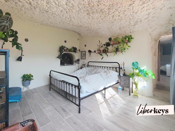 Bien rare : maison troglodyte lumineuse avec terrasse et vue forêt à 20 min de Tours
