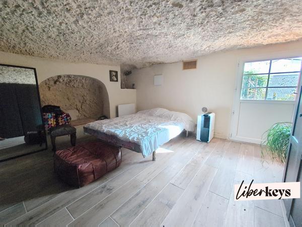 Bien rare : maison troglodyte lumineuse avec terrasse et vue forêt à 20 min de Tours
