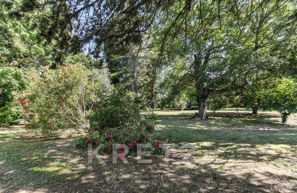 Maison de maitre 10 pièces rénovée, parc arboré d'1 hectare, sud de Castelnaudary (35min de Toulouse