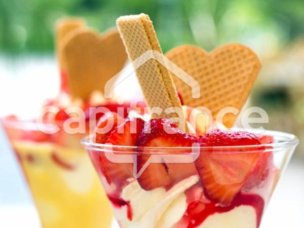 Pyrénées Orientales (66) - Fonds de commerce Bar-Restaurant-Tapas-Pizzas-Glacier - Port d’Argelés-sur-Mer