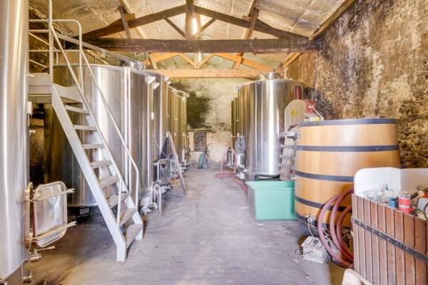 Saint-Paul (33390) Ensemble immobilier à rénover et réhabiliter avec dépendances, chais et cuvier sur parcelle de 3875m2