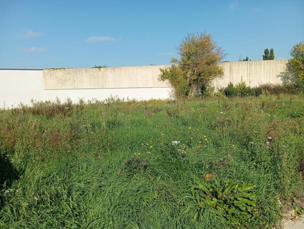 terrain qui attend une famille Calme, sécurisé