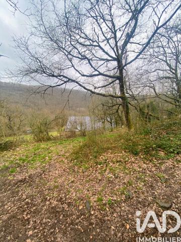 Terrain à vendre 116 077 m² Coupiac