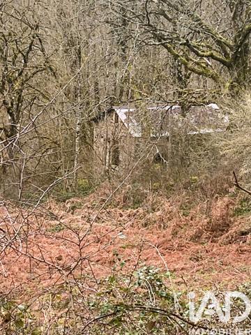 Terrain à vendre 116 077 m² Coupiac