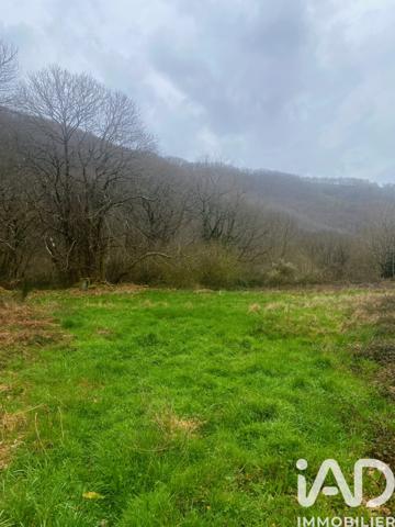 Terrain à vendre 116 077 m² Coupiac