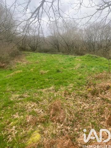 Terrain à vendre 116 077 m² Coupiac