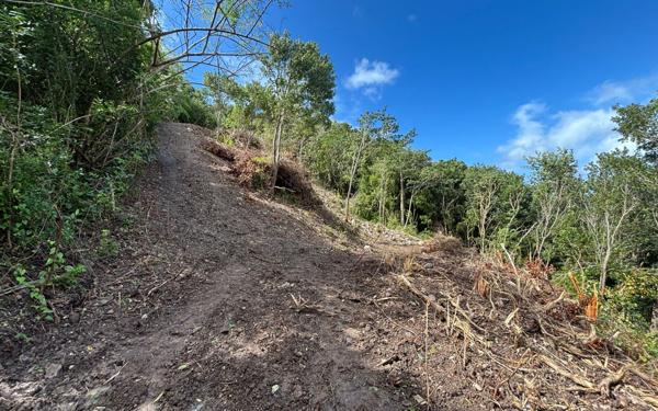 Terrain à vendre    Les Anses-d'Arlet