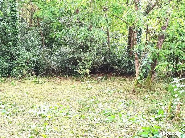 Terrain  558 m2