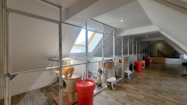 CORPS DE FERME RENOVE 255 M² GARAGES BOXES JARDIN