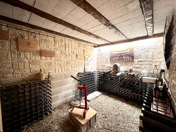 Gagny (93220) Maison avec grand jardin et garage