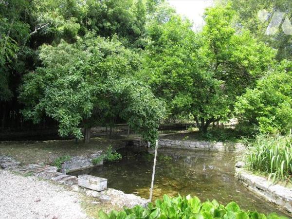 Meung sur Loire, très jolie maison située au c?ur d'un parc paysagé et arboré, traversé par les...