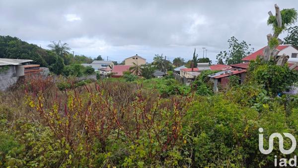 Terrain à vendre 450 m² Le Tampon