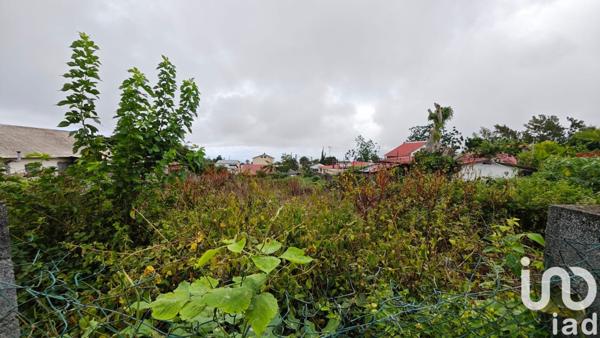 Terrain à vendre 450 m² Le Tampon