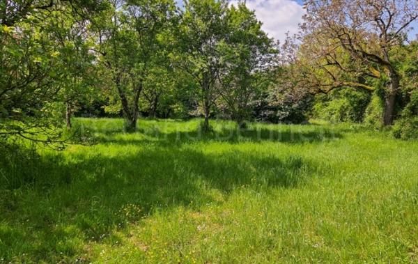 Vente Maison à rafraîchir Lezay   